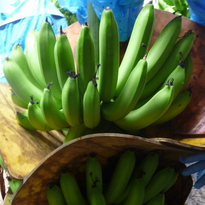 Bananas